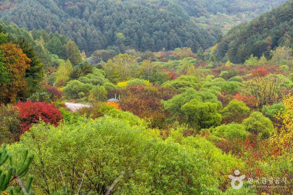 비밀의정원 여행 추천 - 로드트립