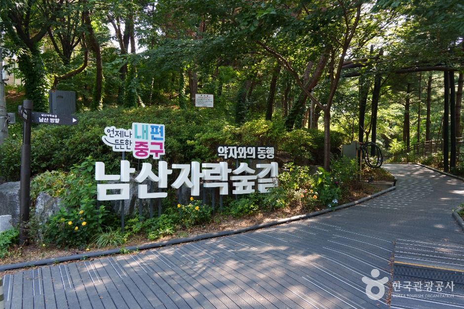 남산자락숲길 여행 추천 - 로드트립