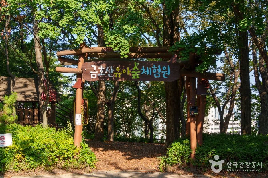 남산자락숲길 여행 추천 - 로드트립