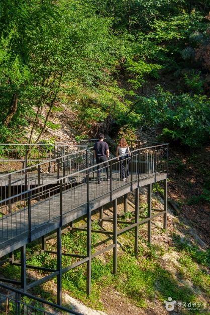 남산자락숲길 여행 추천 - 로드트립