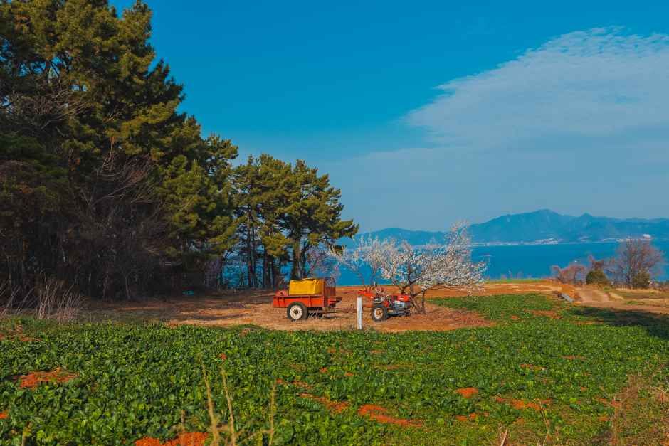 [남해바래길 15코스] 구두산목장길 여행 추천 - 로드트립