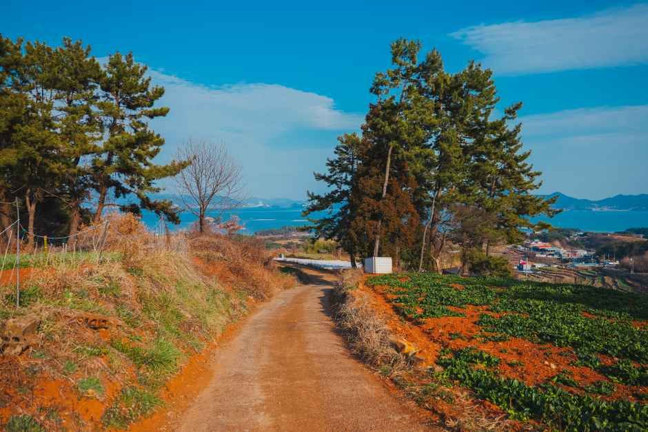 [남해바래길 15코스] 구두산목장길 여행 추천 - 로드트립
