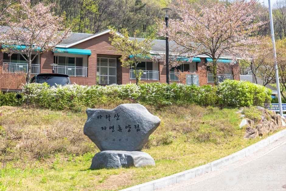 바라산자연휴양림 여행 추천 - 로드트립