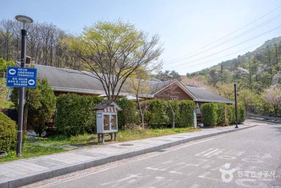 바라산자연휴양림 여행 추천 - 로드트립