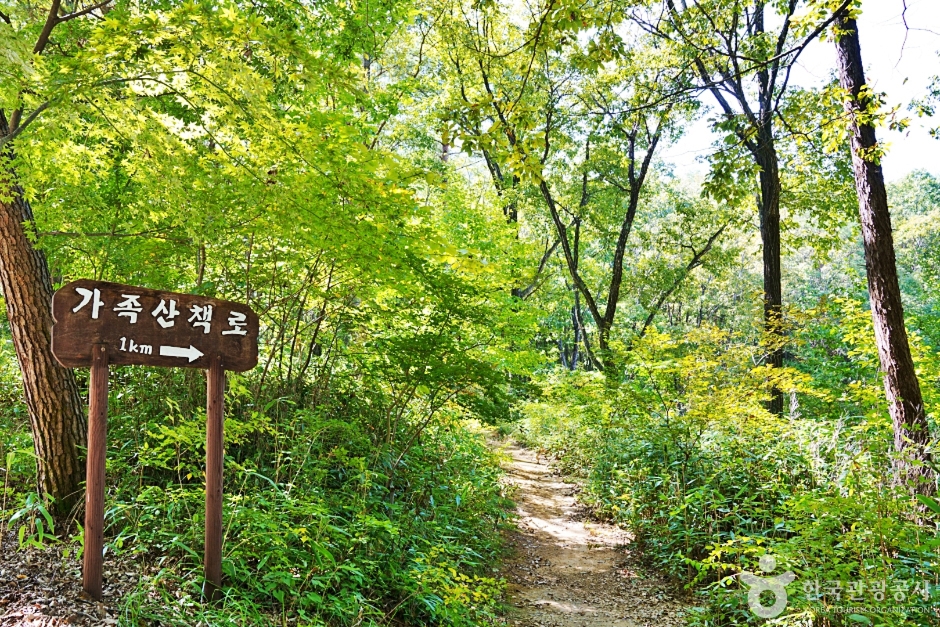 국립대야산자연휴양림 여행 추천 - 로드트립