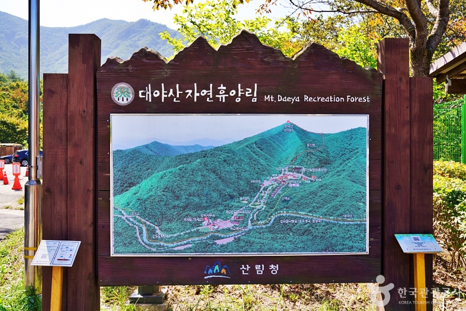 국립대야산자연휴양림 여행 추천 - 로드트립