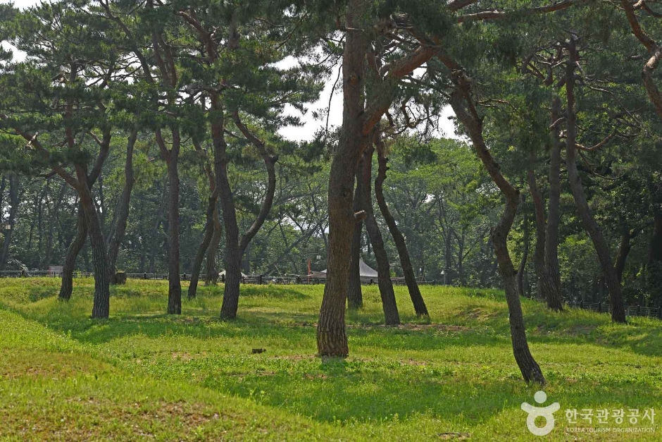 군창지 여행 추천 - 로드트립