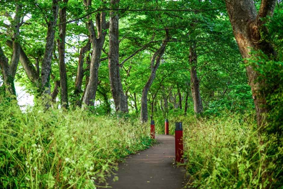[남해바래길 6코스] 죽방멸치길 여행 추천 - 로드트립