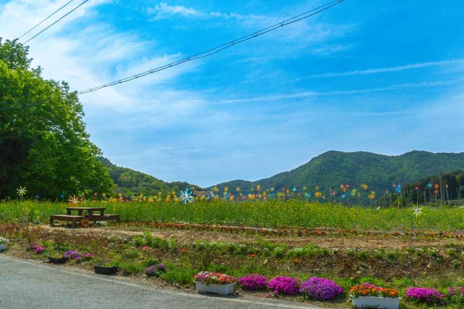 [남해바래길 6코스] 죽방멸치길 여행 추천 - 로드트립