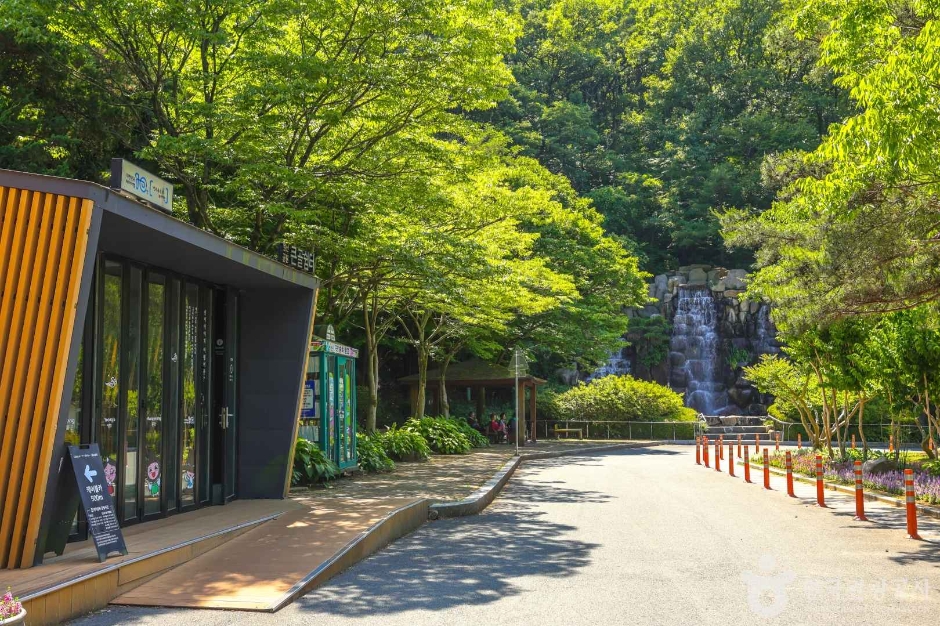 대구앞산공원 여행 추천 - 로드트립