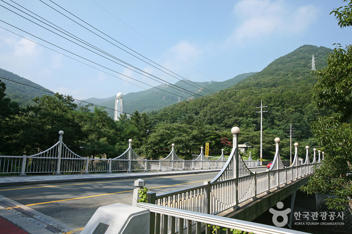 대구앞산공원 여행 추천 - 로드트립