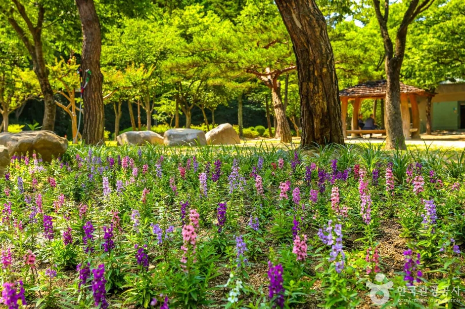 대구앞산공원 여행 추천 - 로드트립