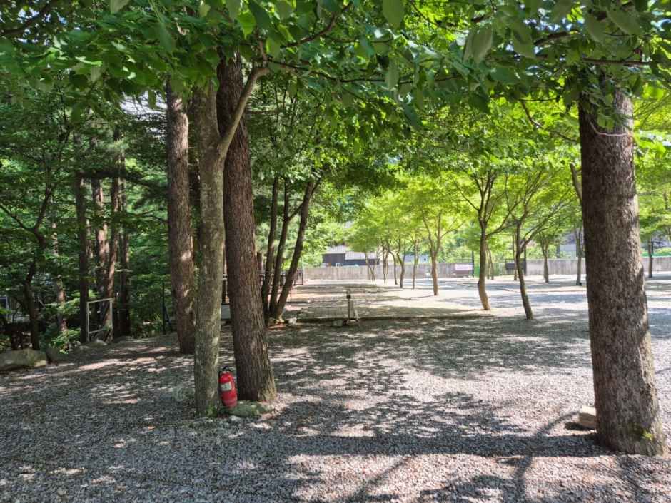 평창하늘캠핑장 여행 추천 - 로드트립