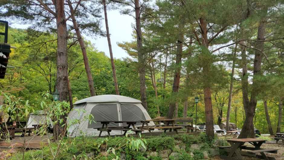 평창하늘캠핑장 여행 추천 - 로드트립