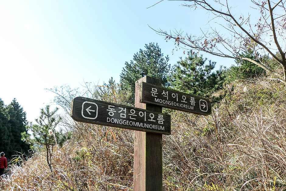 동검은이오름 여행 추천 - 로드트립