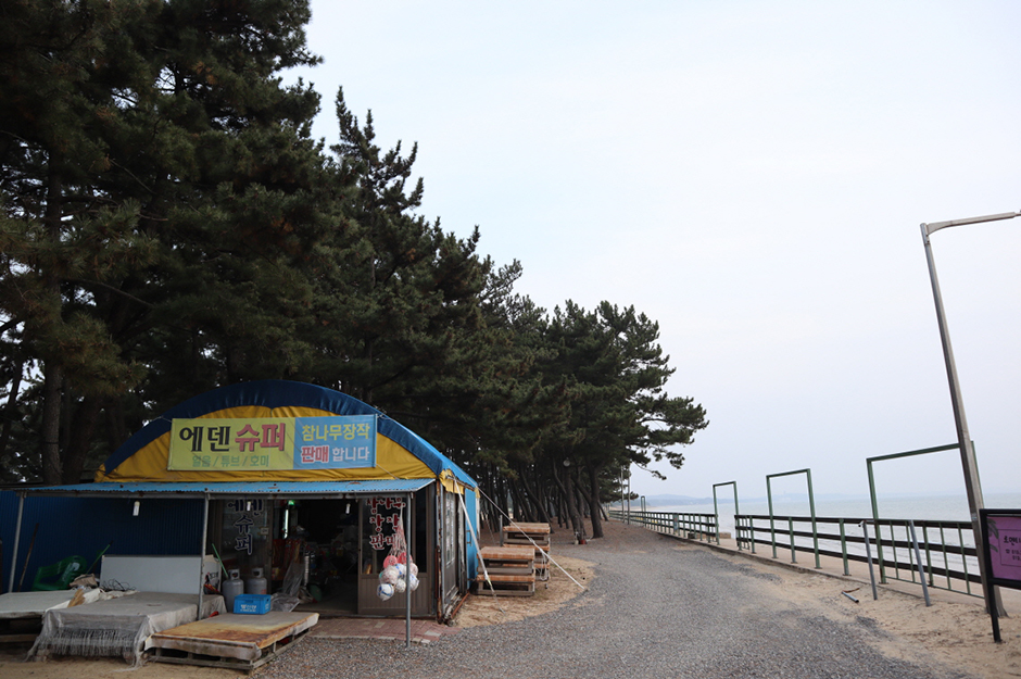 몽산포오토캠핑장2구역 여행 추천 - 로드트립