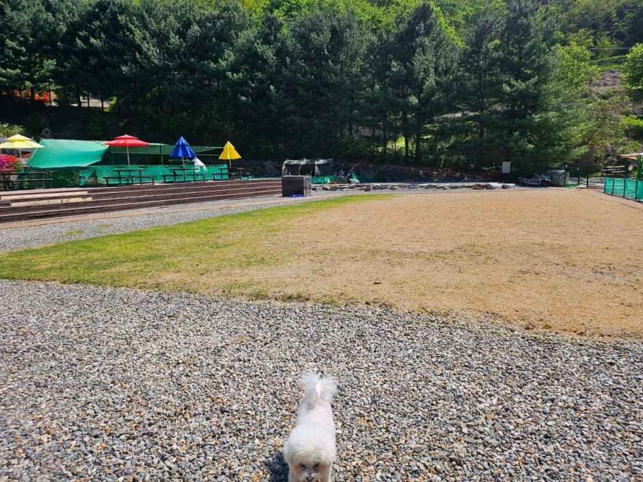 양주 감악산 캠핑장 여행 추천 - 로드트립