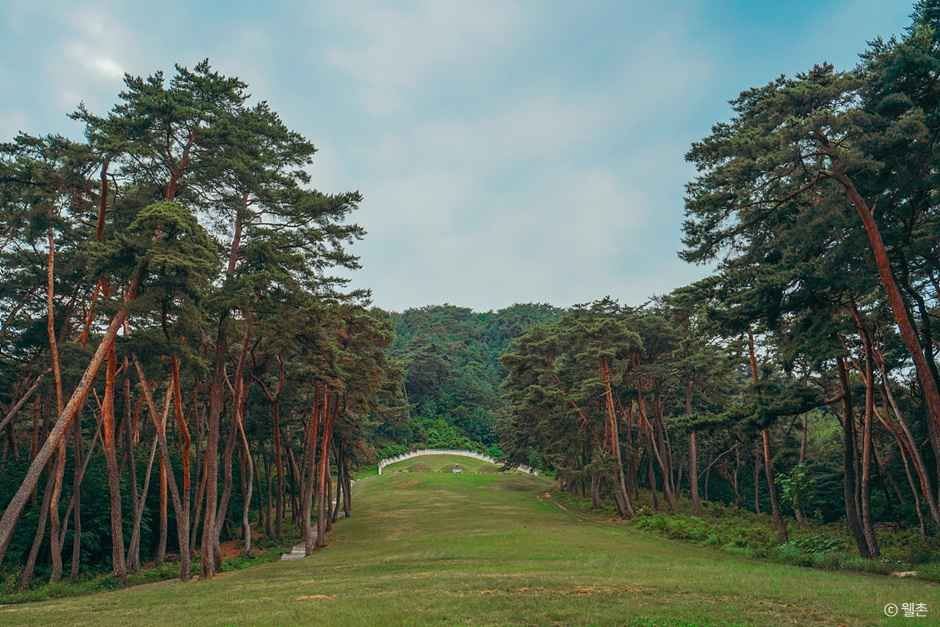 춘천 박사마을 여행 추천 - 로드트립