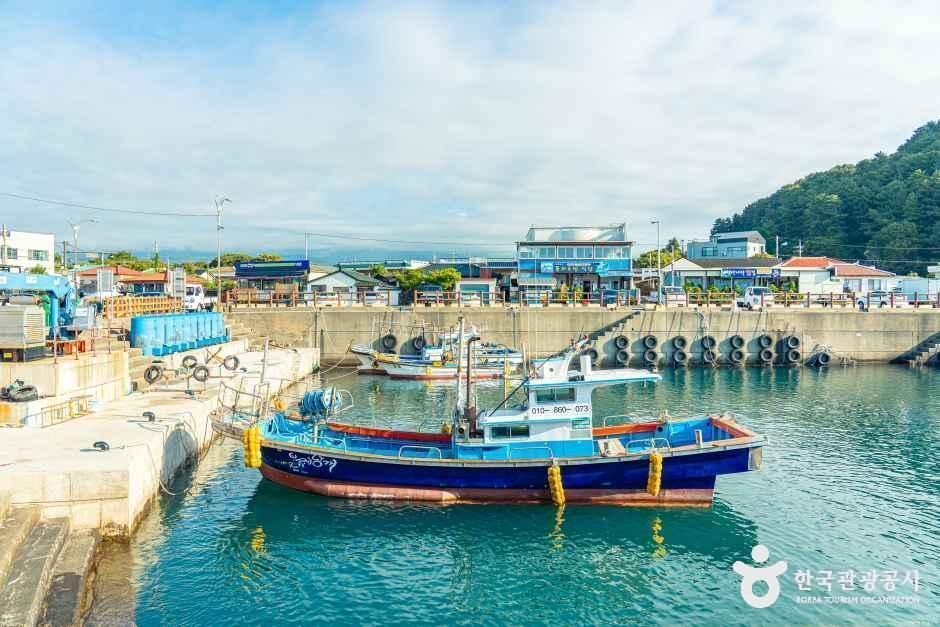 보목마을 여행 추천 - 로드트립