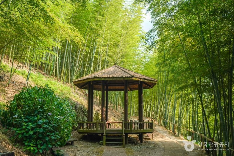 거제맹종죽테마공원 여행 추천 - 로드트립