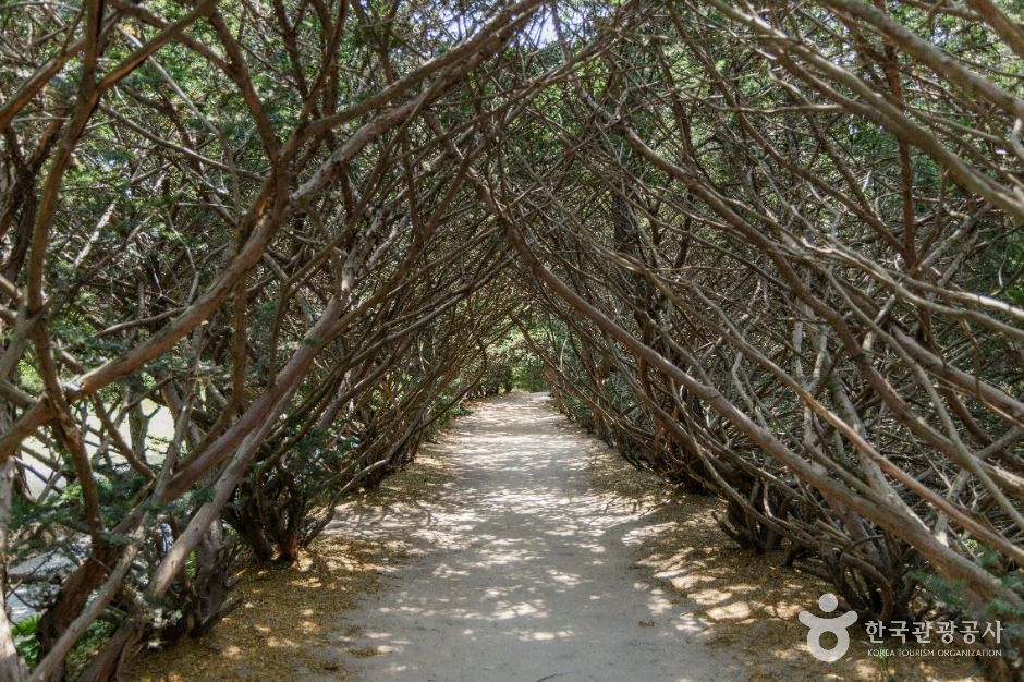 벽초지수목원 여행 추천 - 로드트립