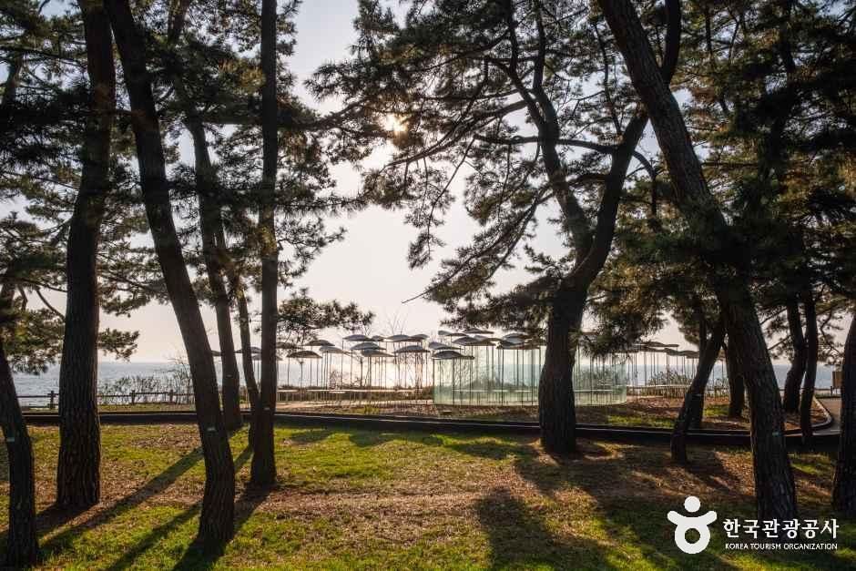 서해안 황금해안길 여행 추천 - 로드트립