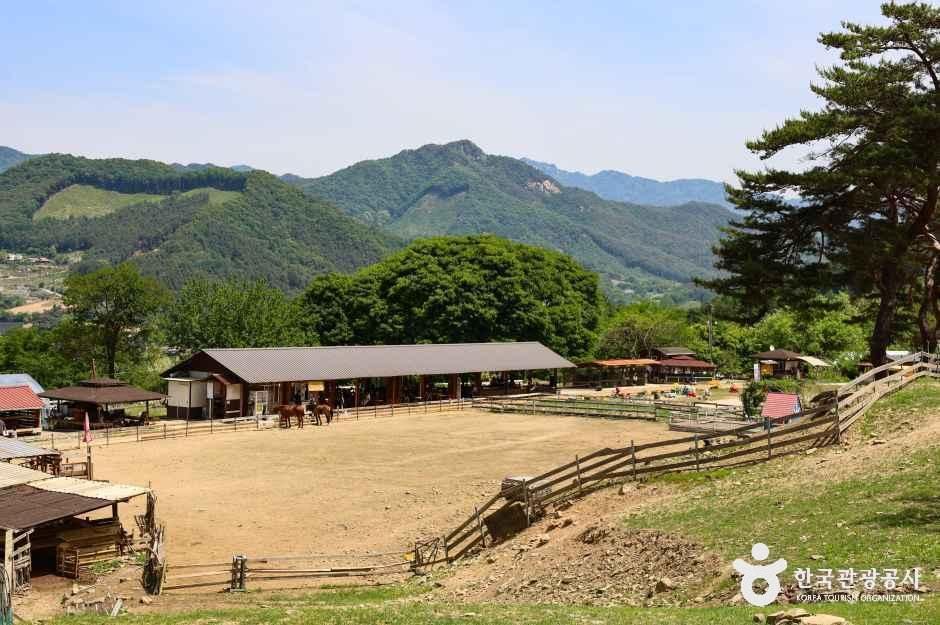 해피초원목장 여행 추천 - 로드트립
