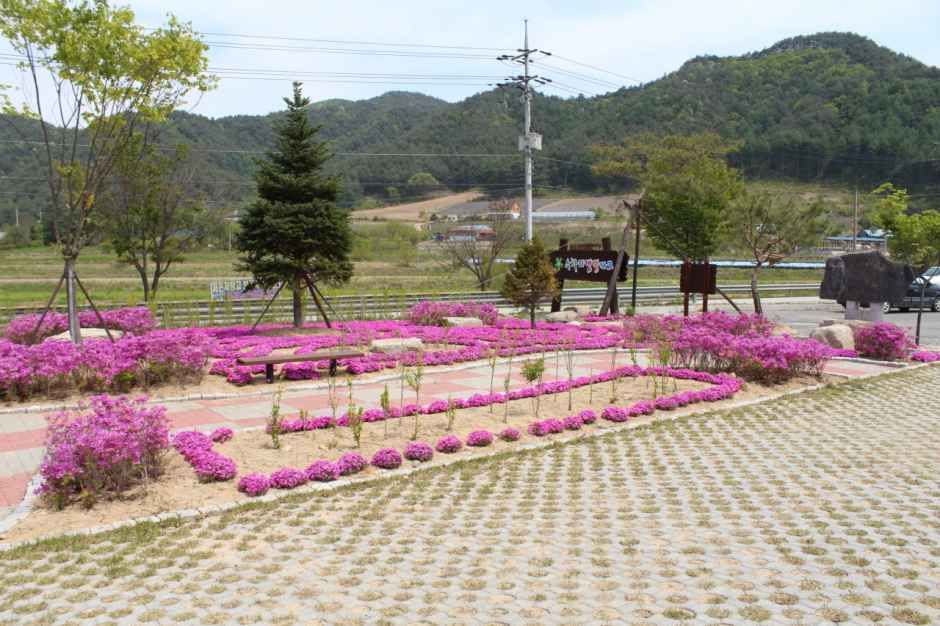 수하리캠핑파크 여행 추천 - 로드트립