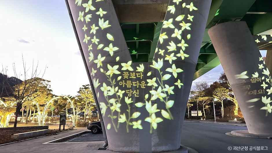 괴강불빛공원 여행 추천 - 로드트립