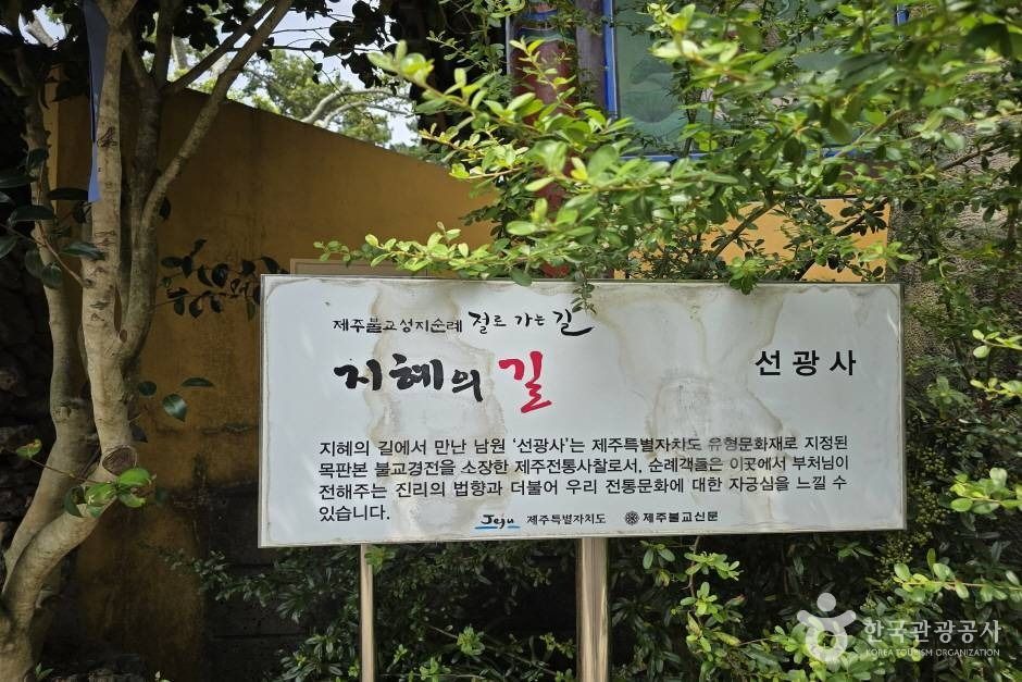 선광사(제주) 여행 추천 - 로드트립