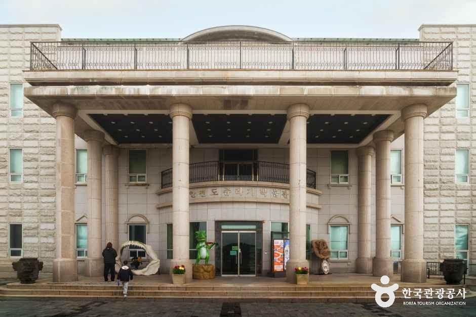 안면도 쥬라기박물관 여행 추천 - 로드트립