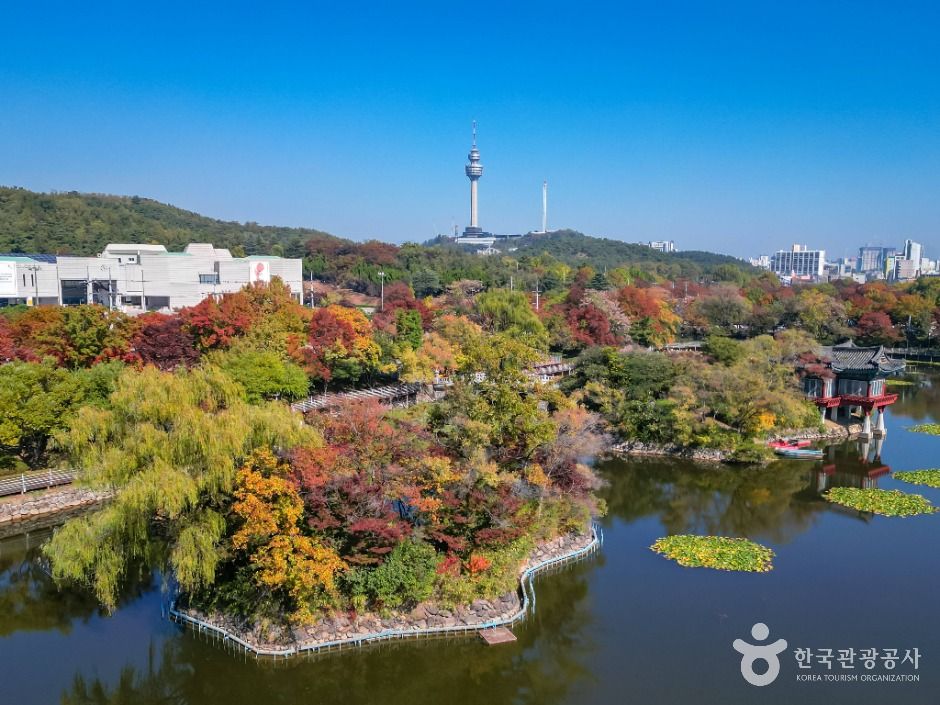 이월드 83타워 여행 추천 - 로드트립