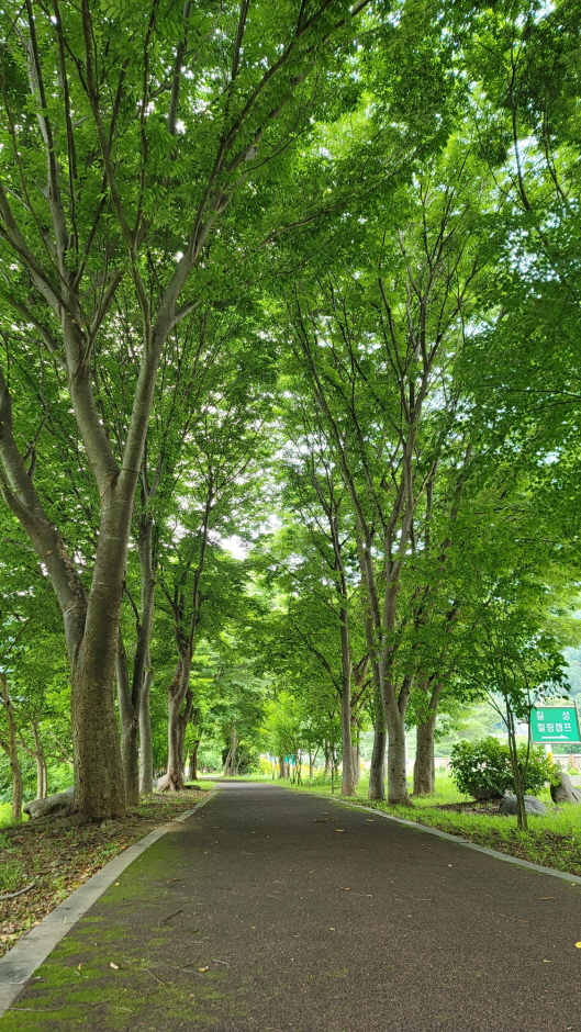 [강원평화누리자전거길 7코스] 화천 한묵령길 여행 추천 - 로드트립