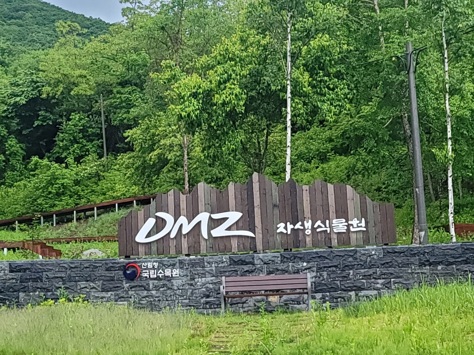 [강원평화누리자전거길 12코스] 양구 펀치볼길 여행 추천 - 로드트립