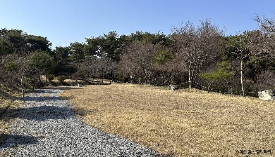 에덴힐스 힐링파크 여행 추천 - 로드트립