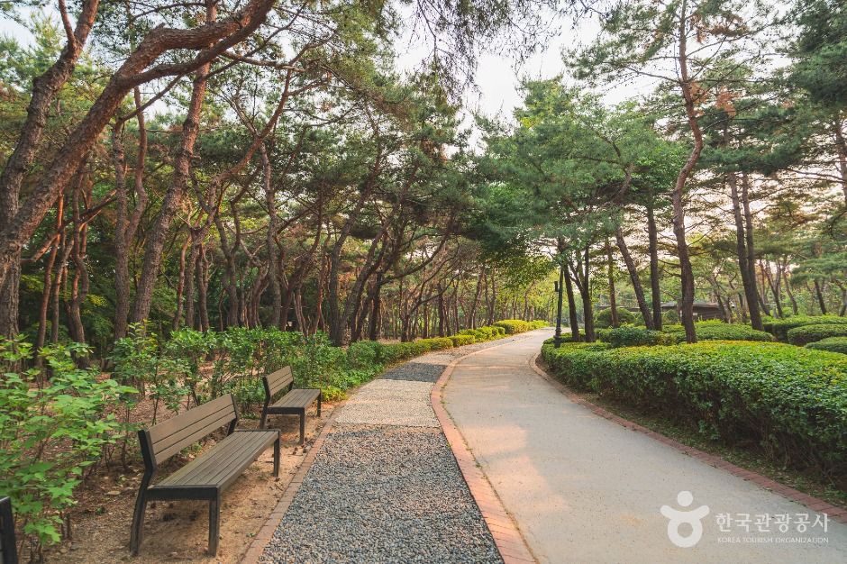 남산 야외식물원 여행 추천 - 로드트립