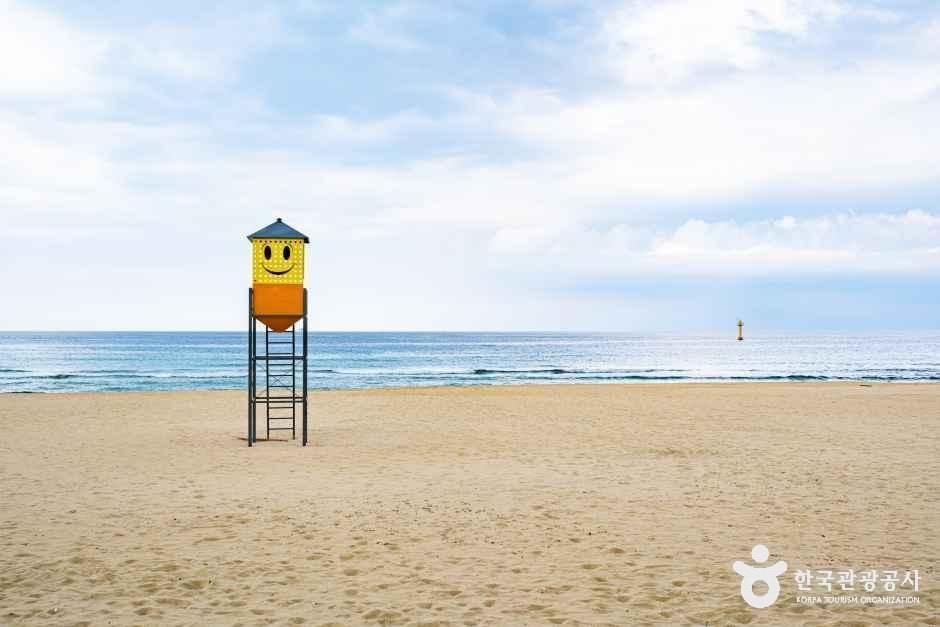 증산해변 여행 추천 - 로드트립