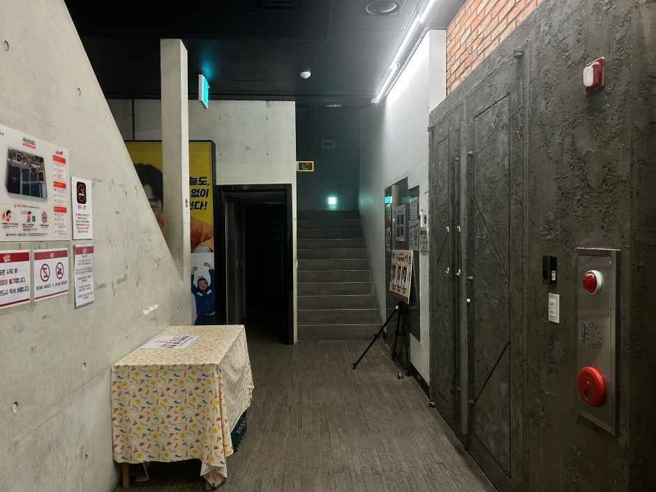 아트포레스트 여행 추천 - 로드트립