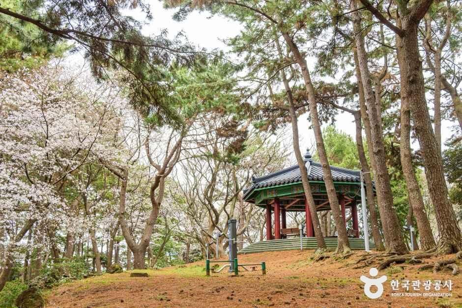 삼무공원 여행 추천 - 로드트립