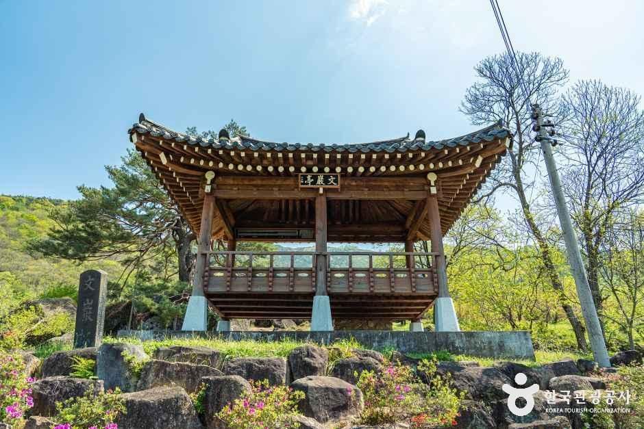하동 축지리 문암송(악양문암송) 여행 추천 - 로드트립