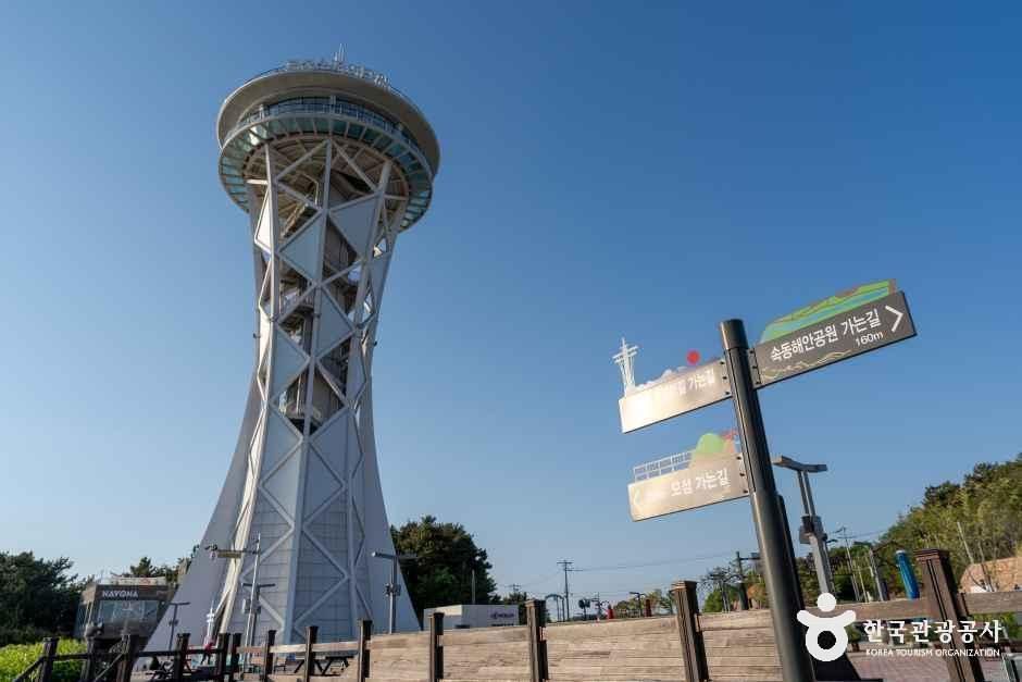 홍성스카이타워 여행 추천 - 로드트립
