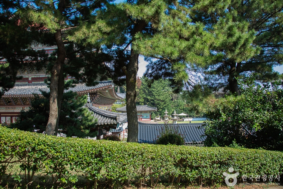 약천사(제주) 여행 추천 - 로드트립