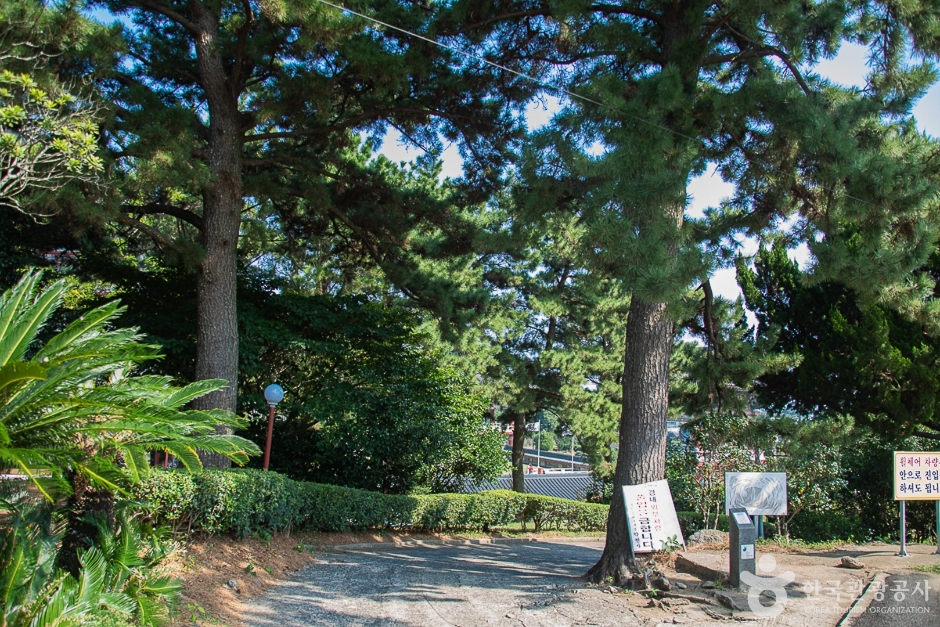 약천사(제주) 여행 추천 - 로드트립