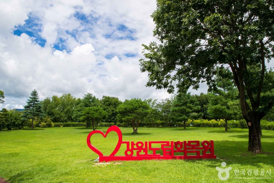 강원특별자치도립화목원 여행 추천 - 로드트립