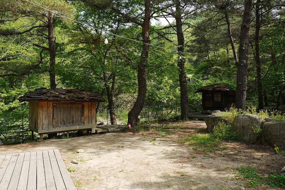 트리하우스계곡야영장 여행 추천 - 로드트립