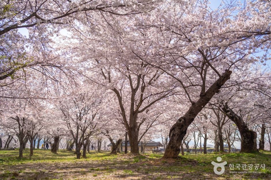사천선진리성 여행 추천 - 로드트립