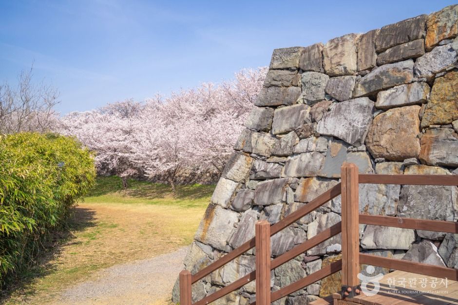 사천선진리성 여행 추천 - 로드트립