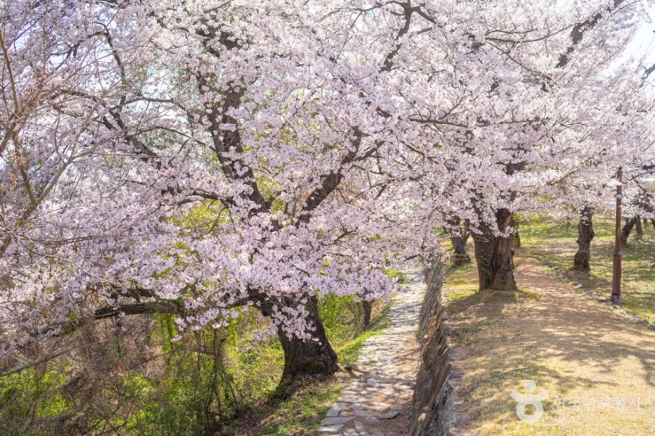 사천선진리성 여행 추천 - 로드트립