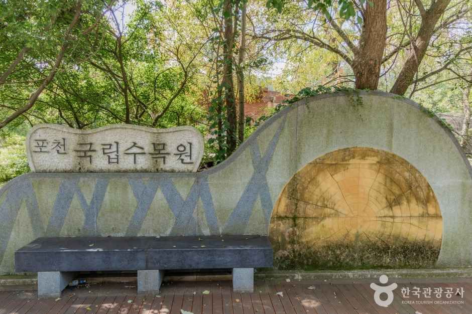 국립수목원 여행 추천 - 로드트립