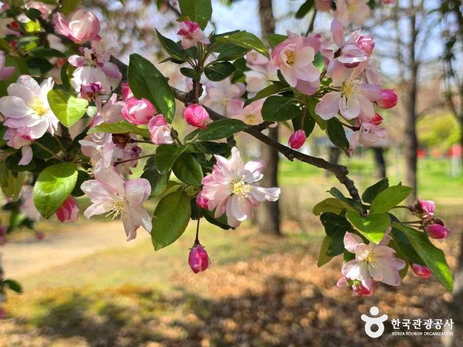 아산문화공원 여행 추천 - 로드트립